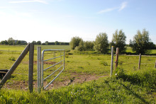 extensives Grünland